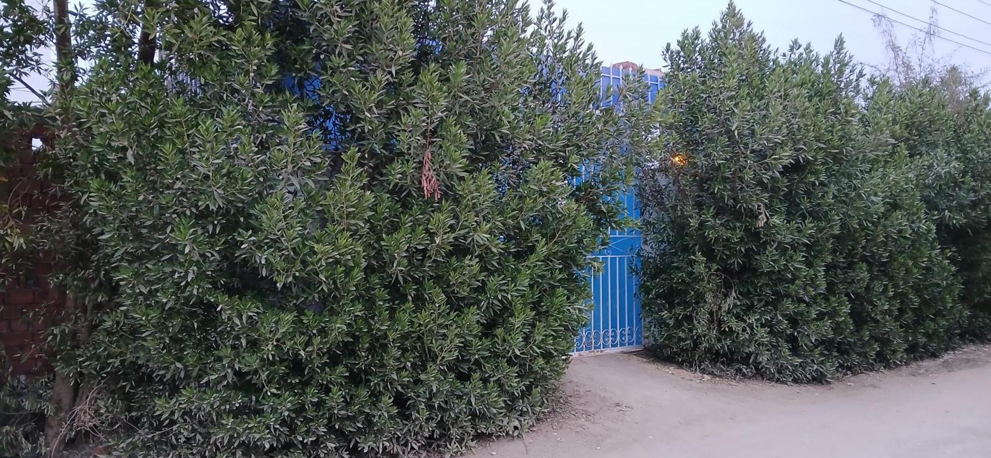 Studio House Luxor Exterior foto